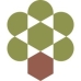 Olive Tree Capital