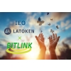 BitLink