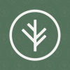Branch Financial