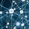 Deloitte Tohmatsu Venture Support