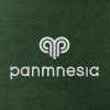 Panmnesia
