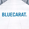 BLUECARAT AG