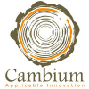 Cambium