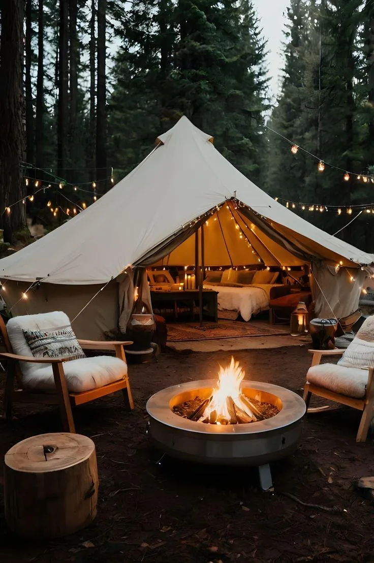 Campfire Nights