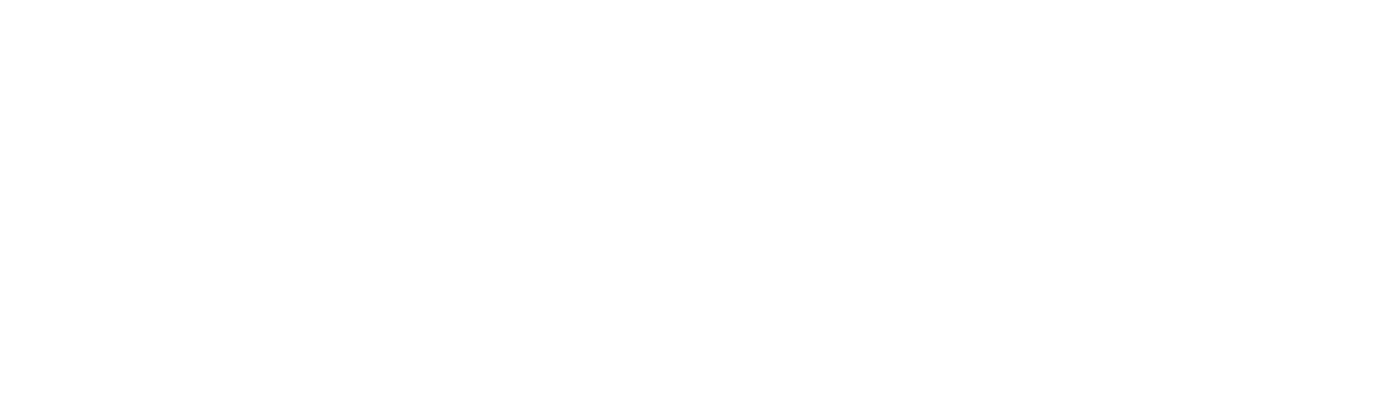 Enterra Solutions