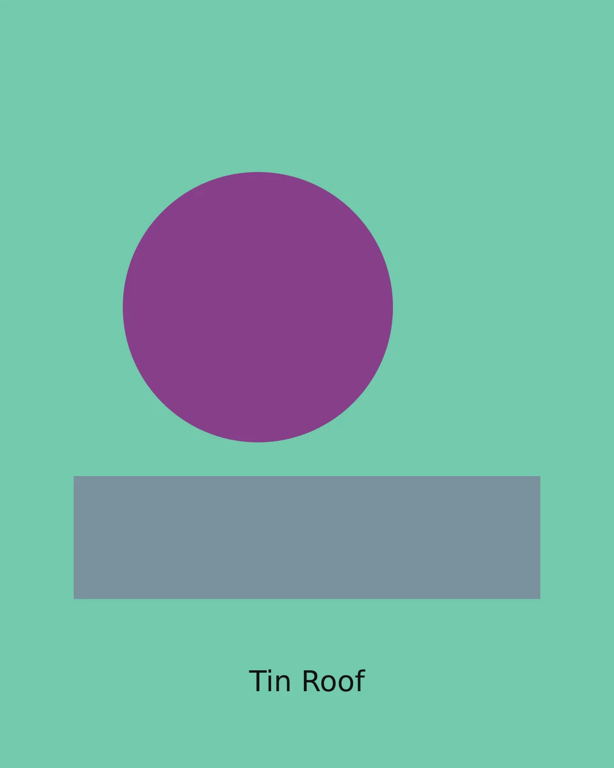 Tin Roof by Theo Brandt