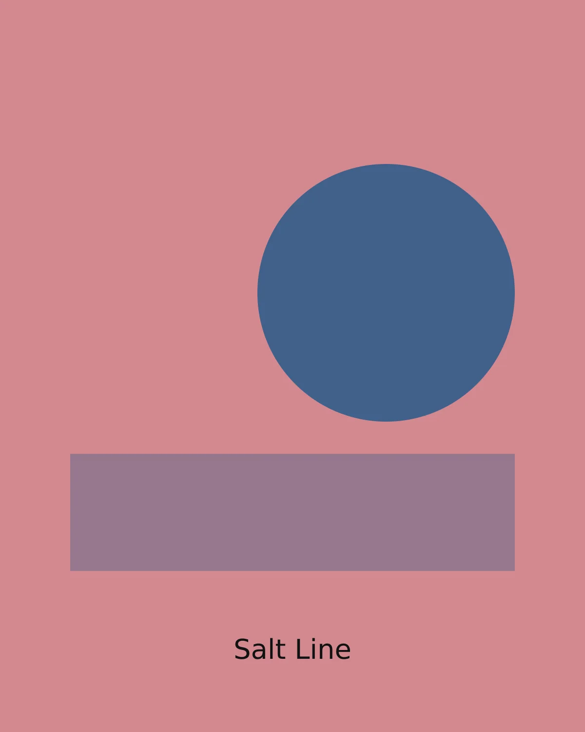 Salt Line by Lucía Ferreira