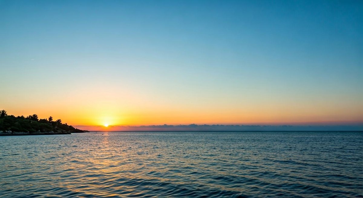 A person works on a laptop at a bright, modern cafe. Sunlight streams through the window, illuminating plants and a relaxe...