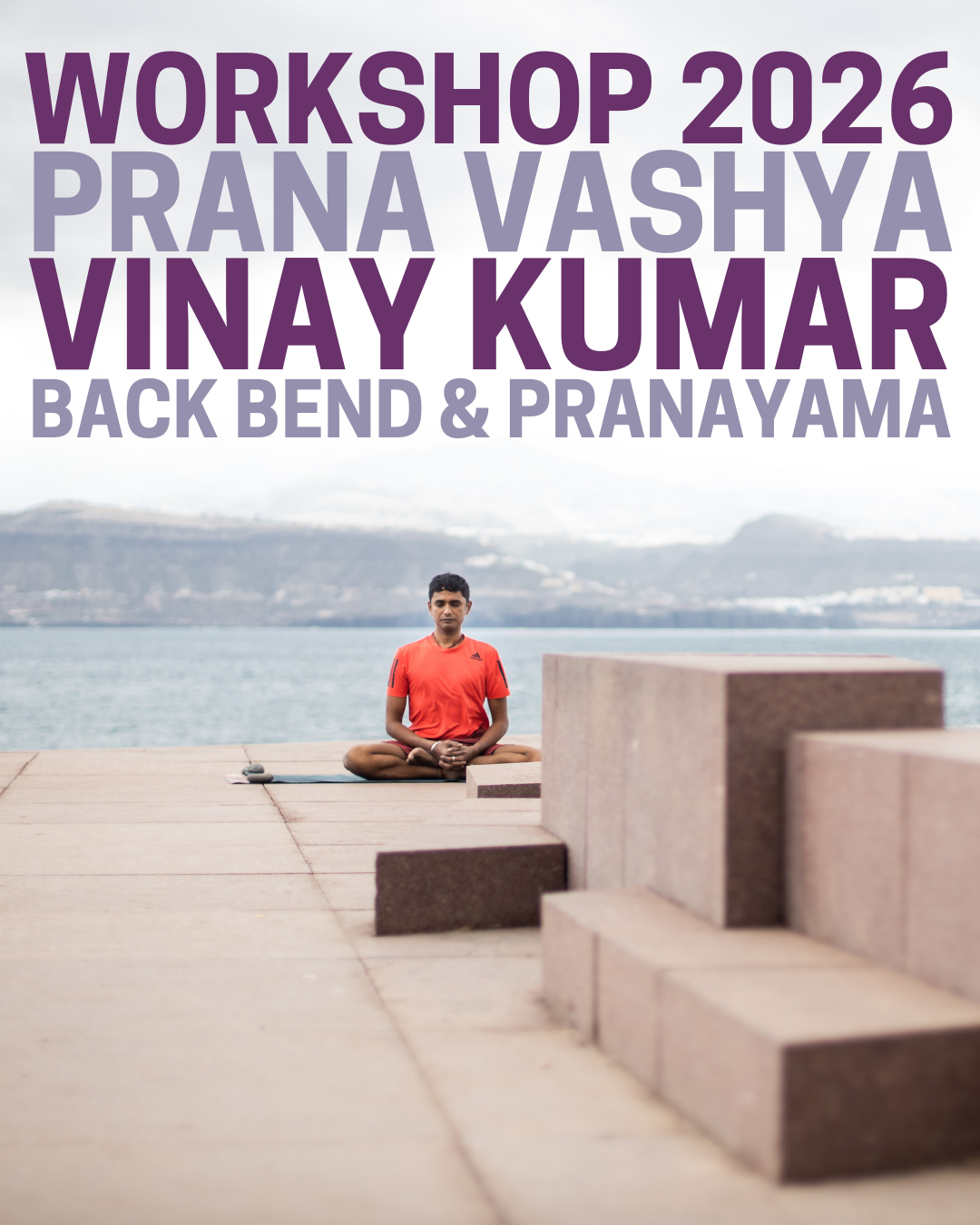 Vinay Kumar, Workshop 2026  Prana Vashya, Back Bend et Pranayama Du 28 mars au 1er avril 2026, à Marseille