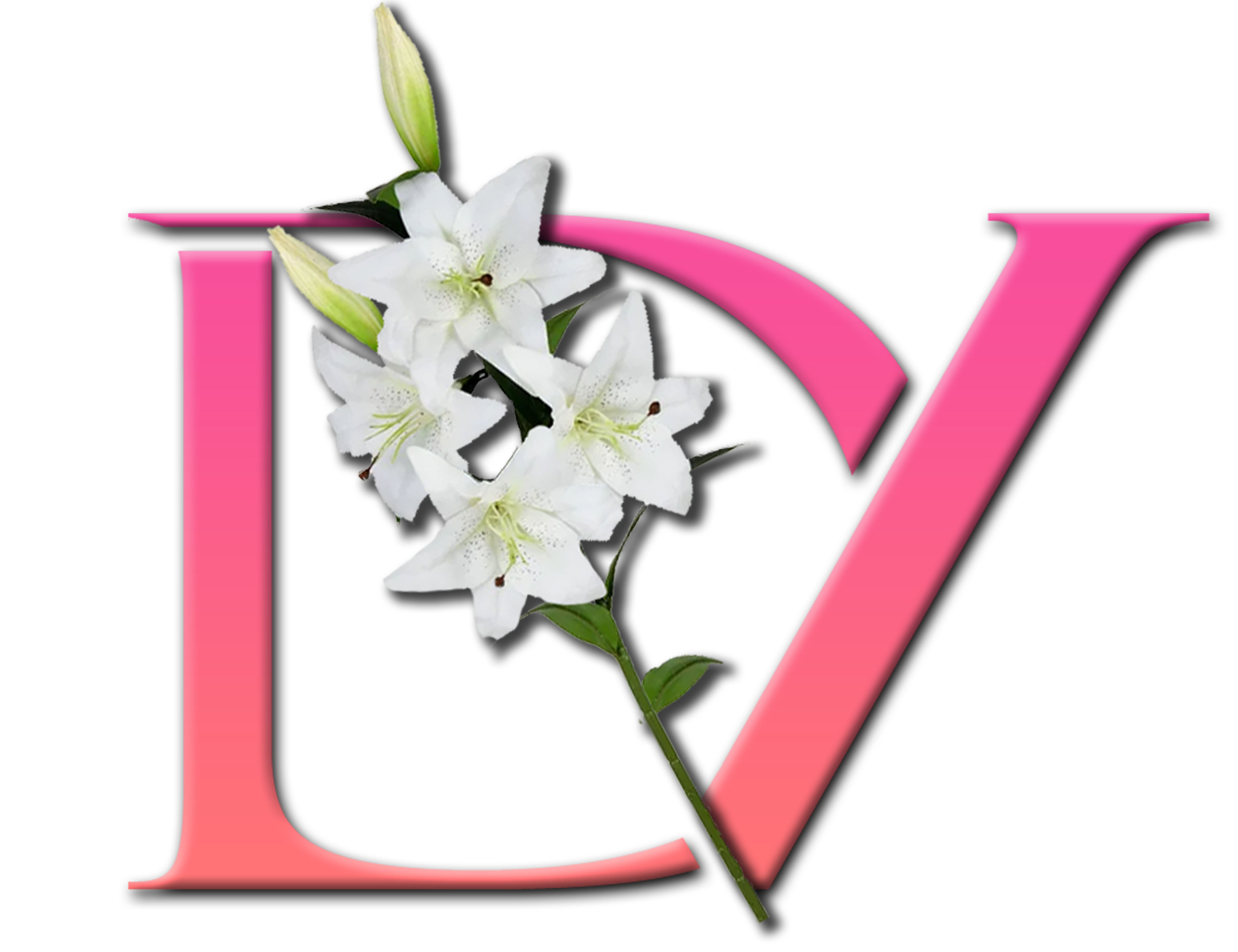 Dulce Vida Beauty