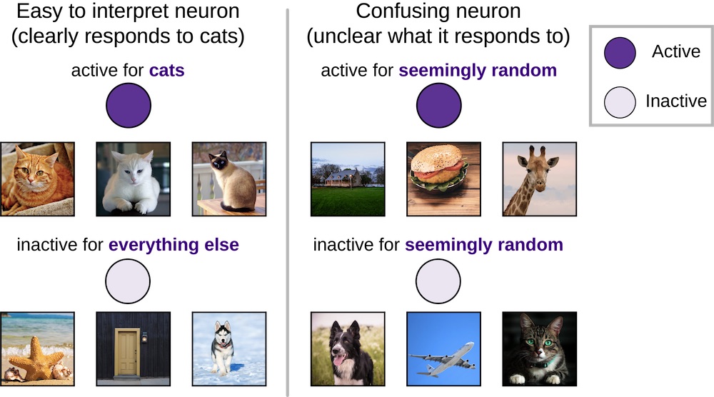 Understanding Deep Learning through Neuron Deletion