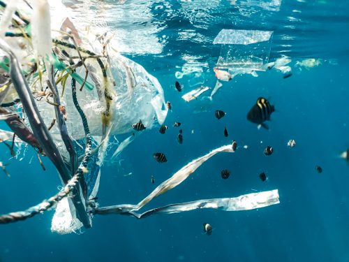 Plastic Free July: un mese senza plastica per la consapevolezza