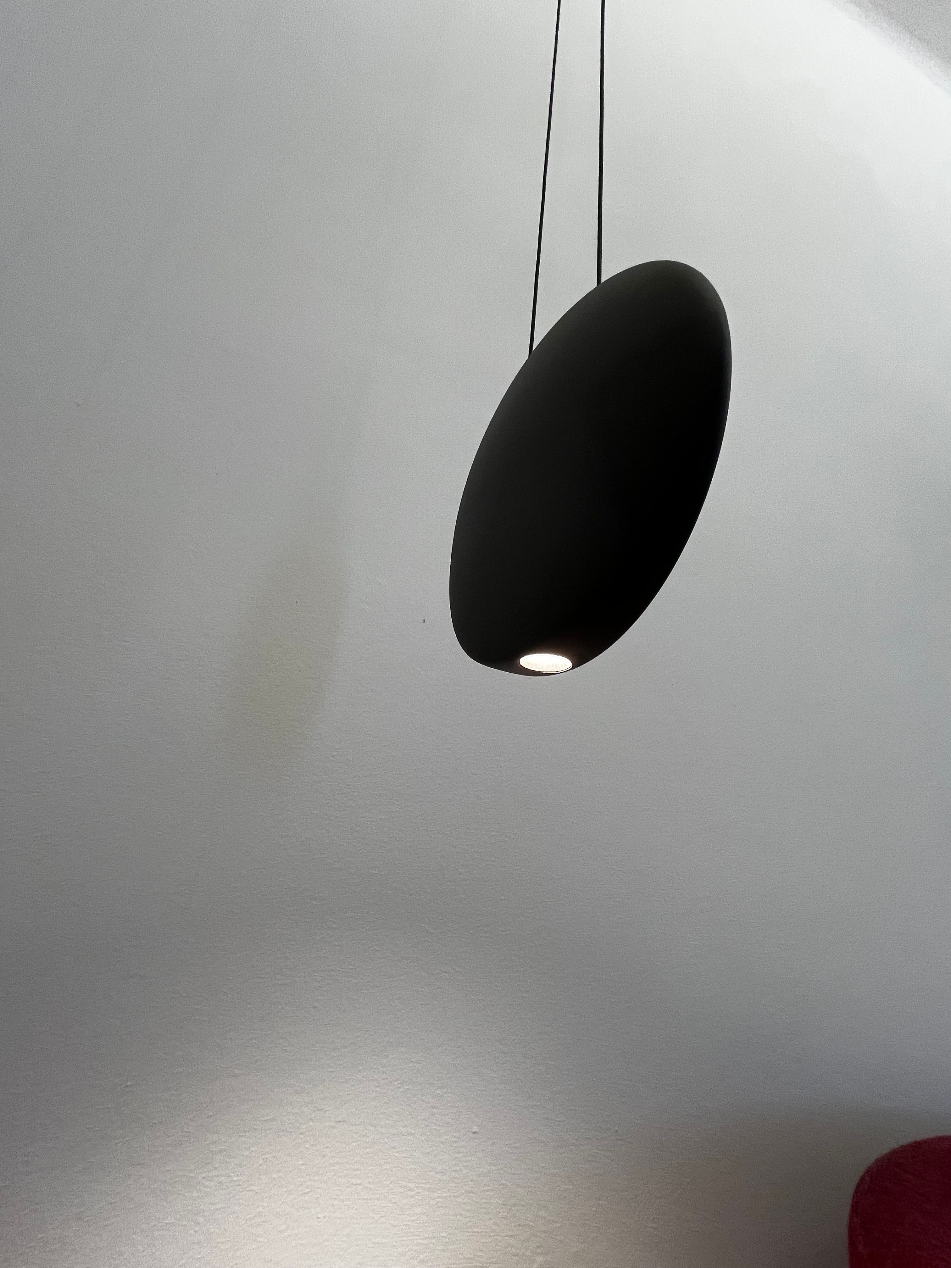 Cosmos Chocolat Pendant Light Front