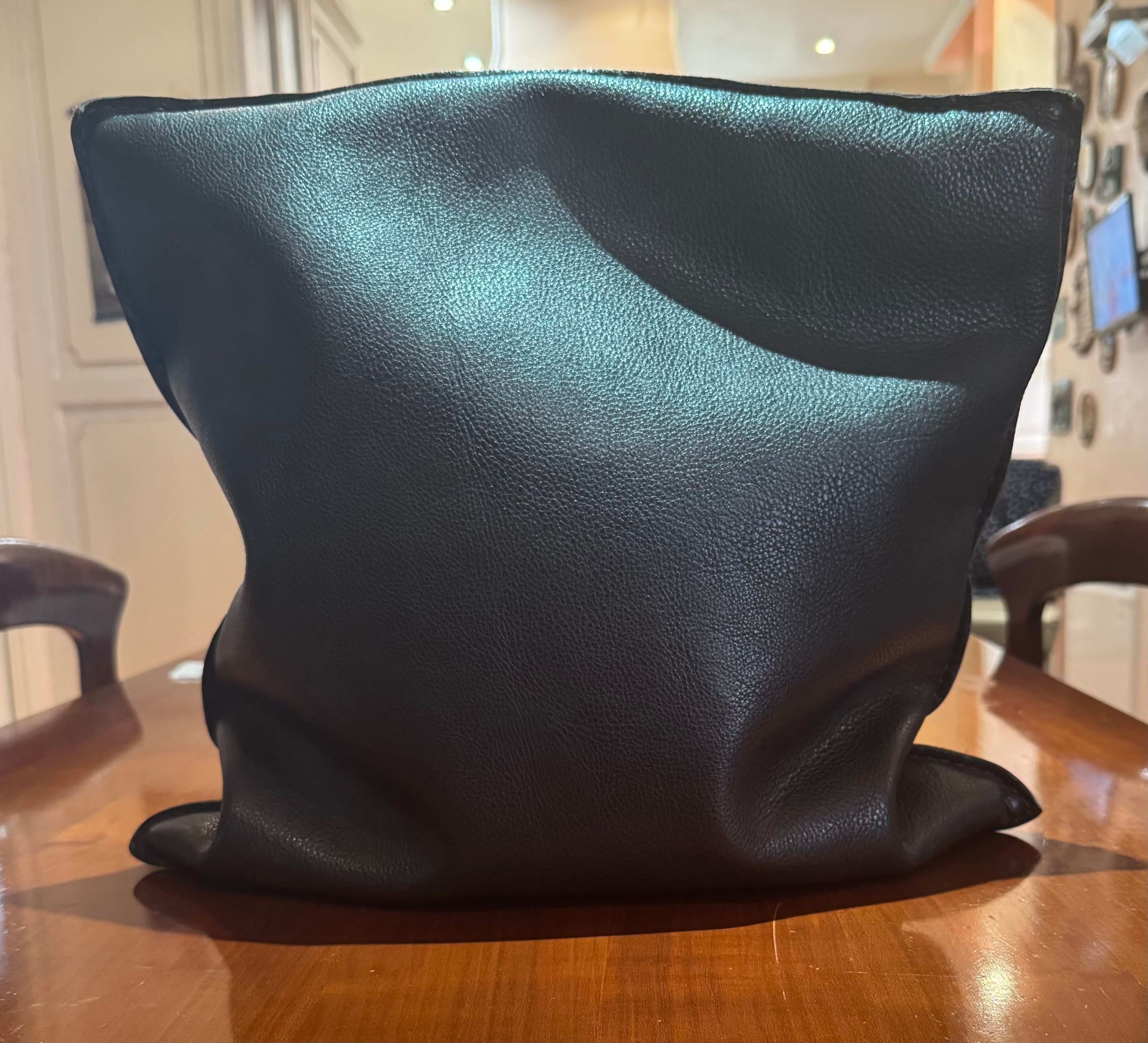Pair of black leather cushions Main