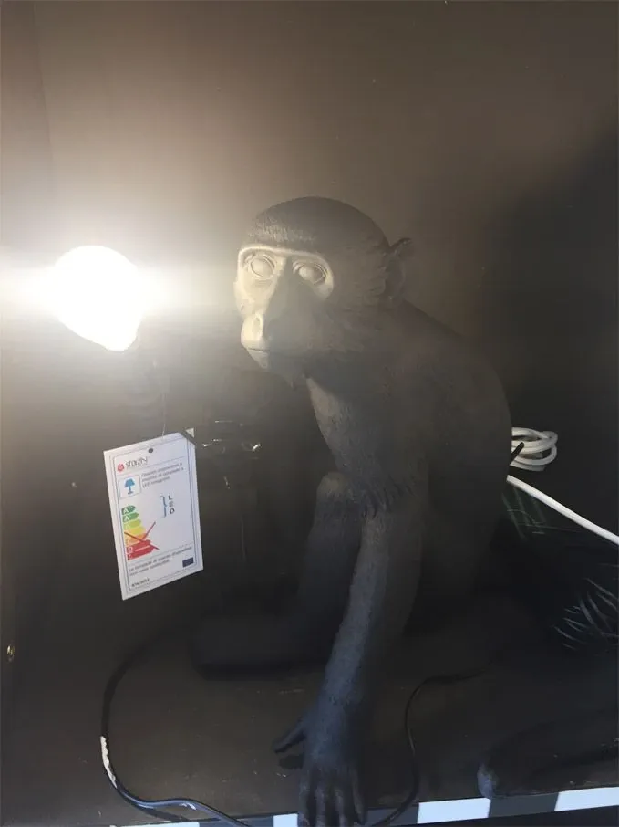 The Monkey Lamp (Sitting Black) 