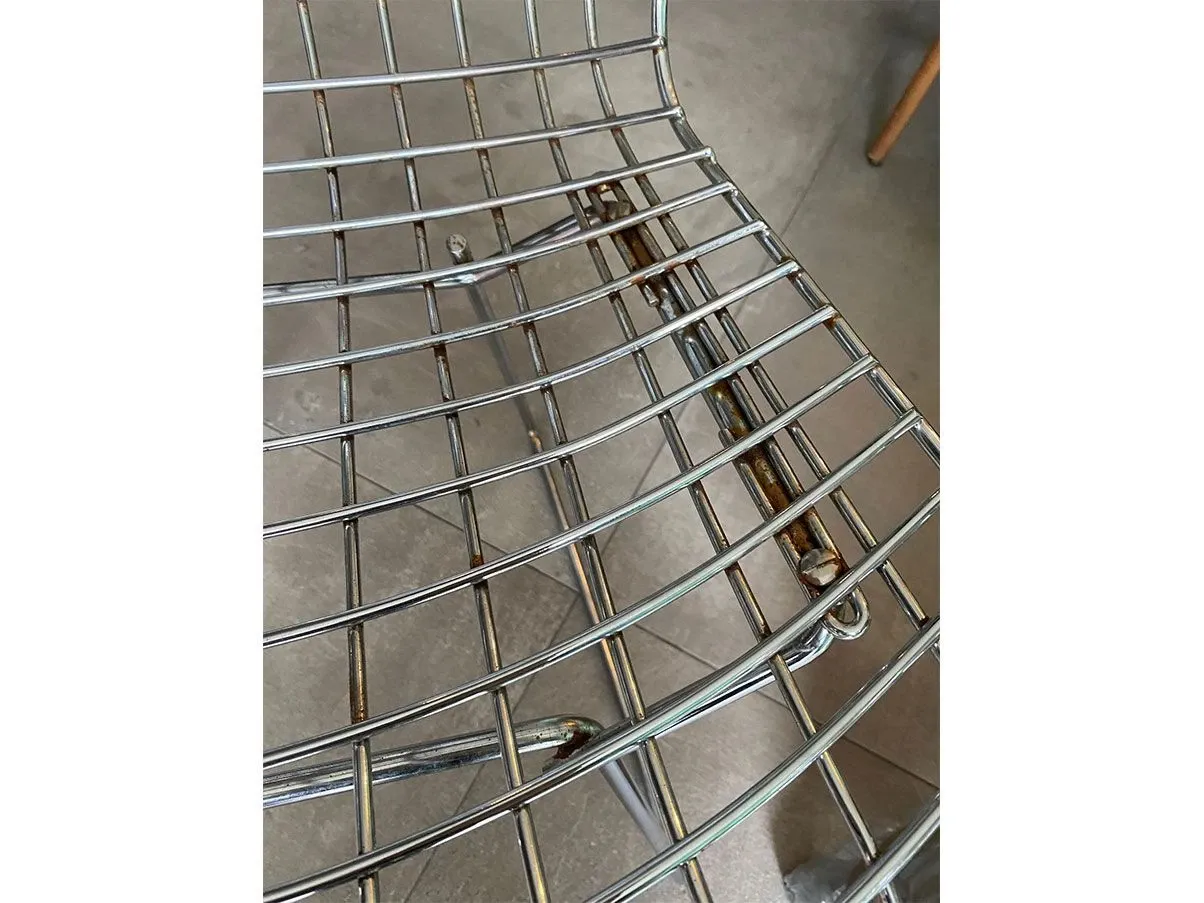Set of 4 Bertoia Chair in steel rod, Knoll 3