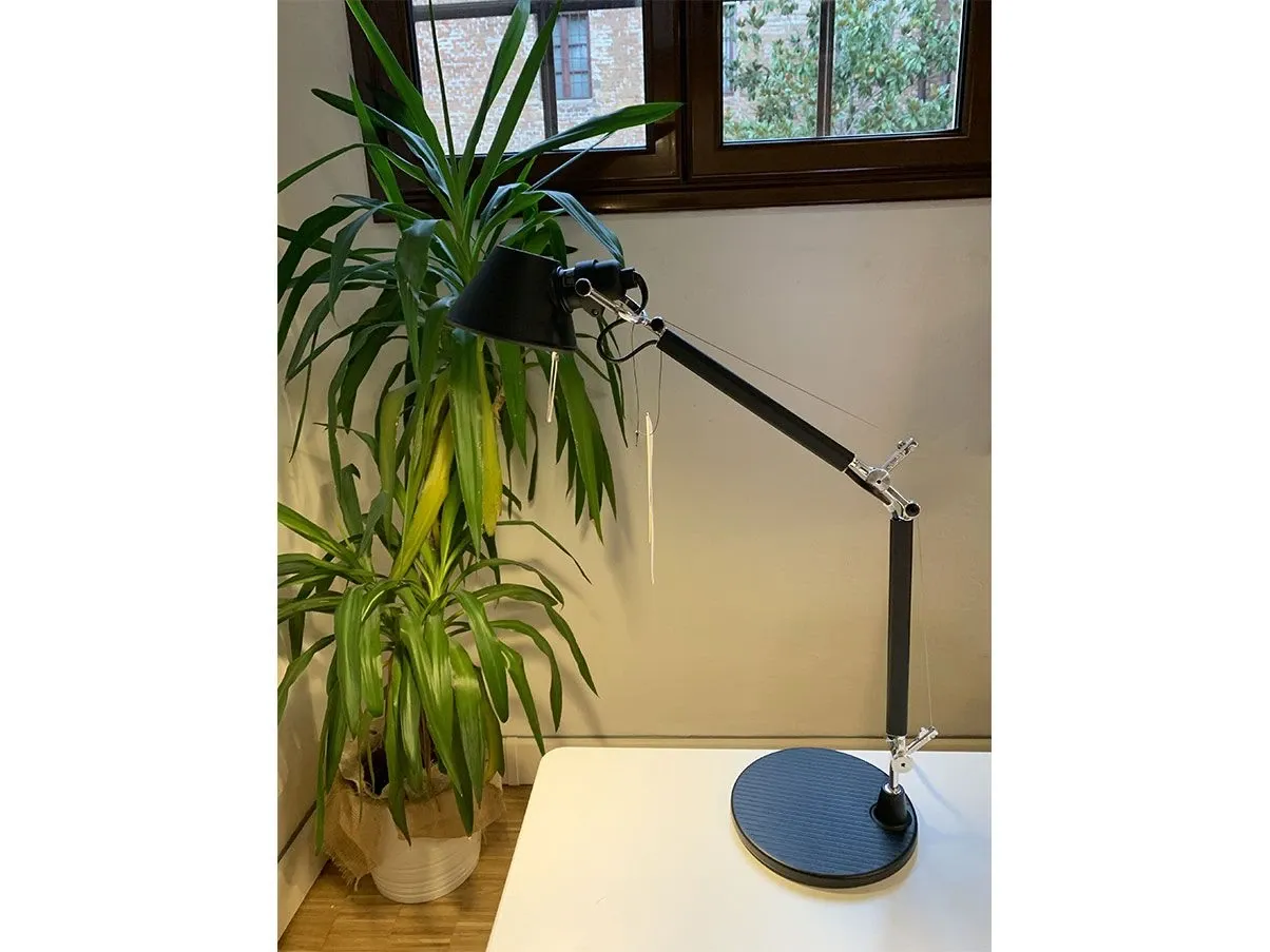 Lampada da tavolo Tolomeo Micro alluminio (nero), Artemide 2
