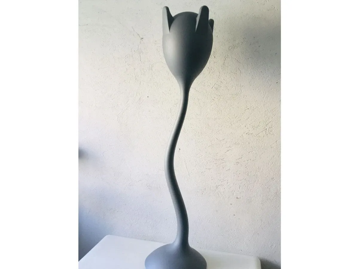 Tulipan 5