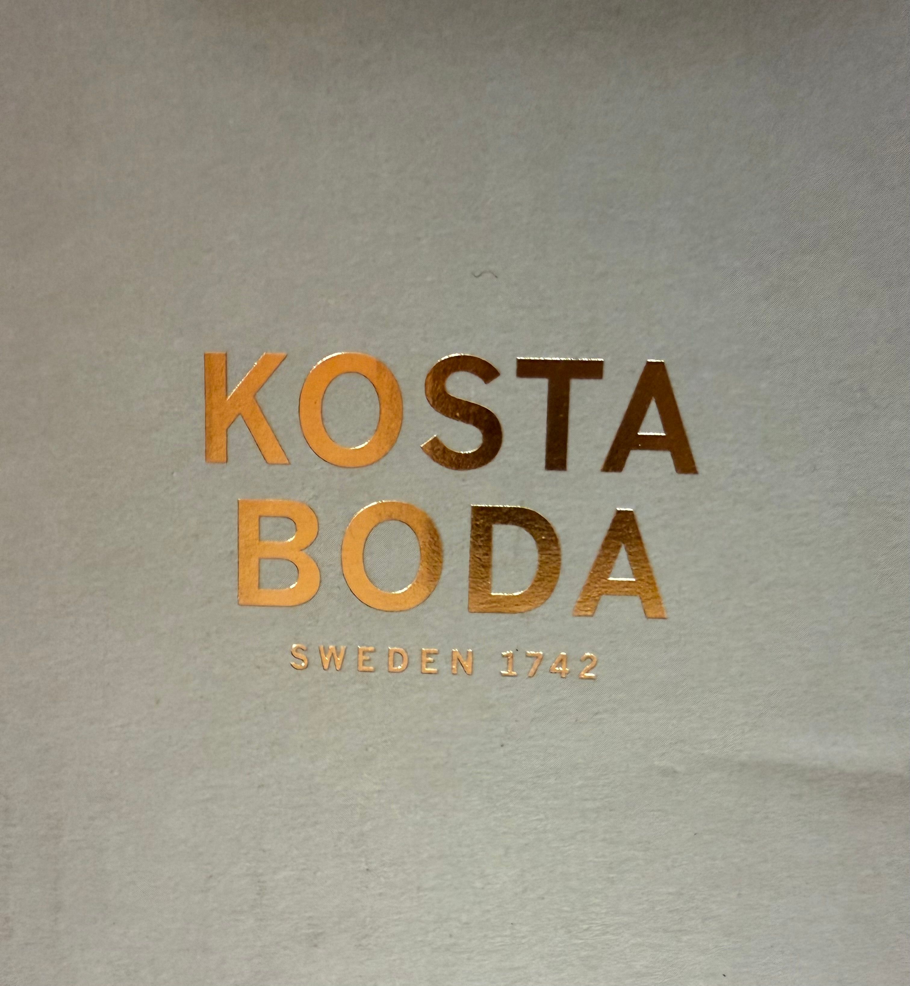 Vaso Vision viola e verde di Goran Warff Brand