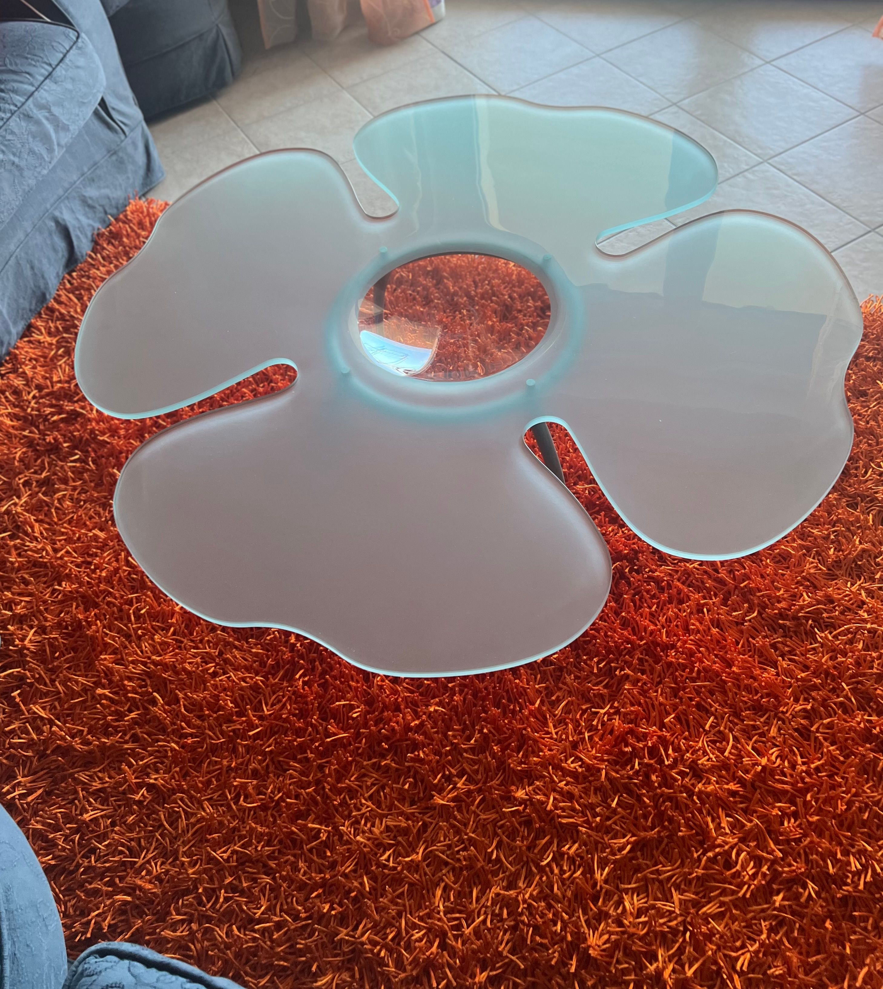 Catalan Flower Frosted Glass Coffee Table (1990s) Brand
