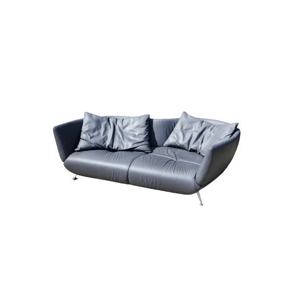 DS-102 2-seater sofa in gray leather, De Sede image