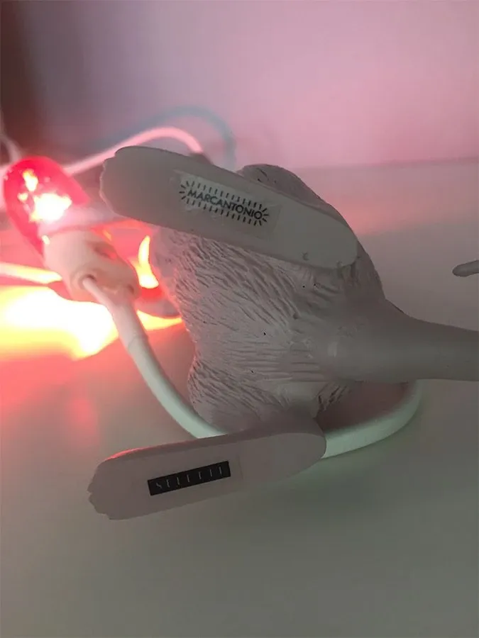 Mouse Lamp Love Edition, Seletti 1