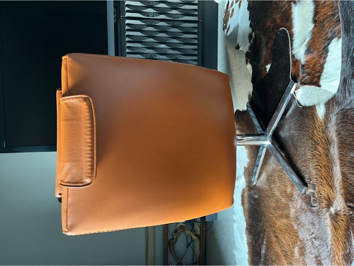 Poltrona Ds-51 in pelle, de Sede 5