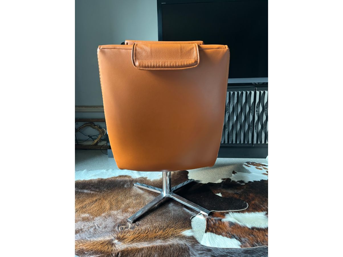 Poltrona Ds-51 in pelle, de Sede 5