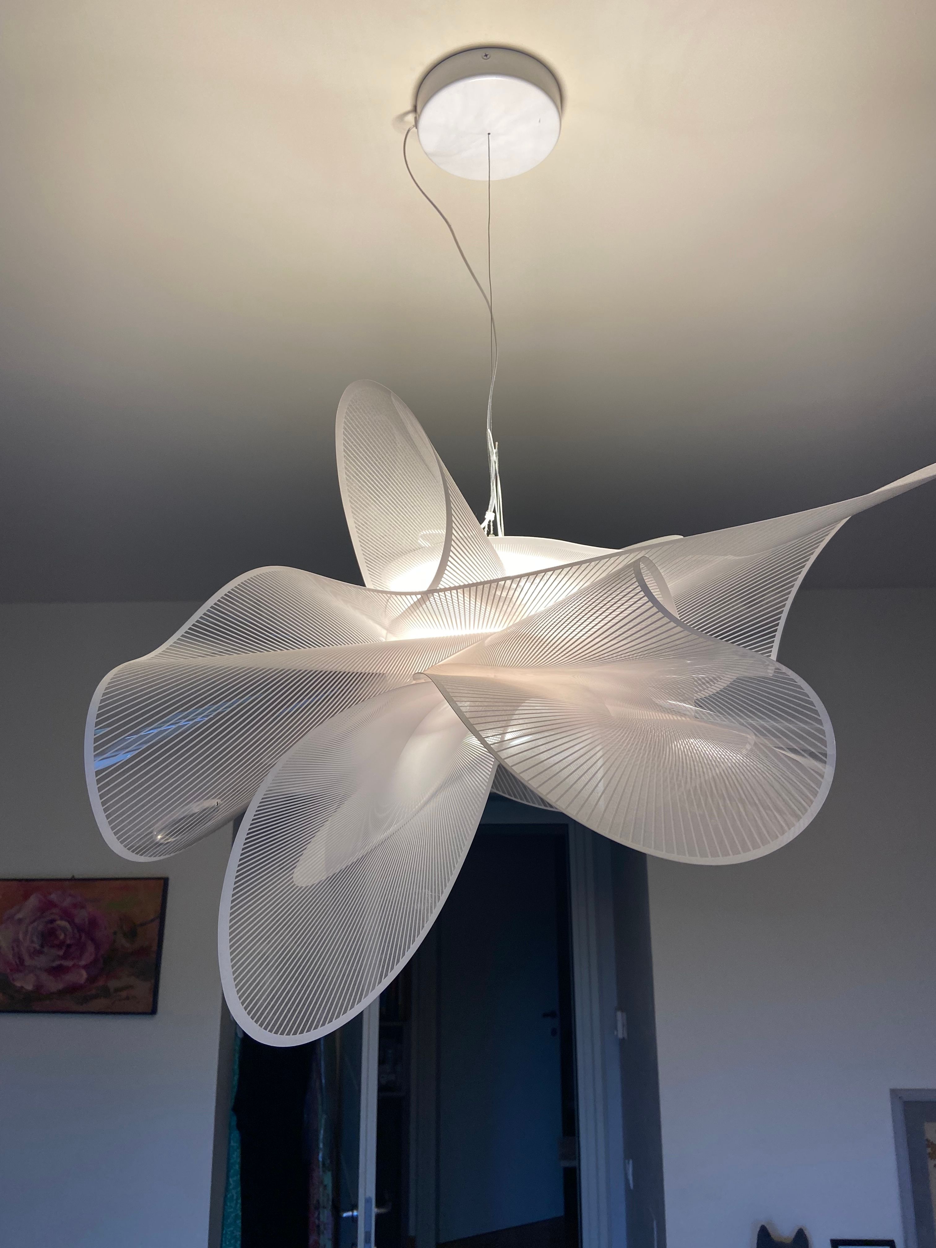 La belle etoile pendant lamp 4