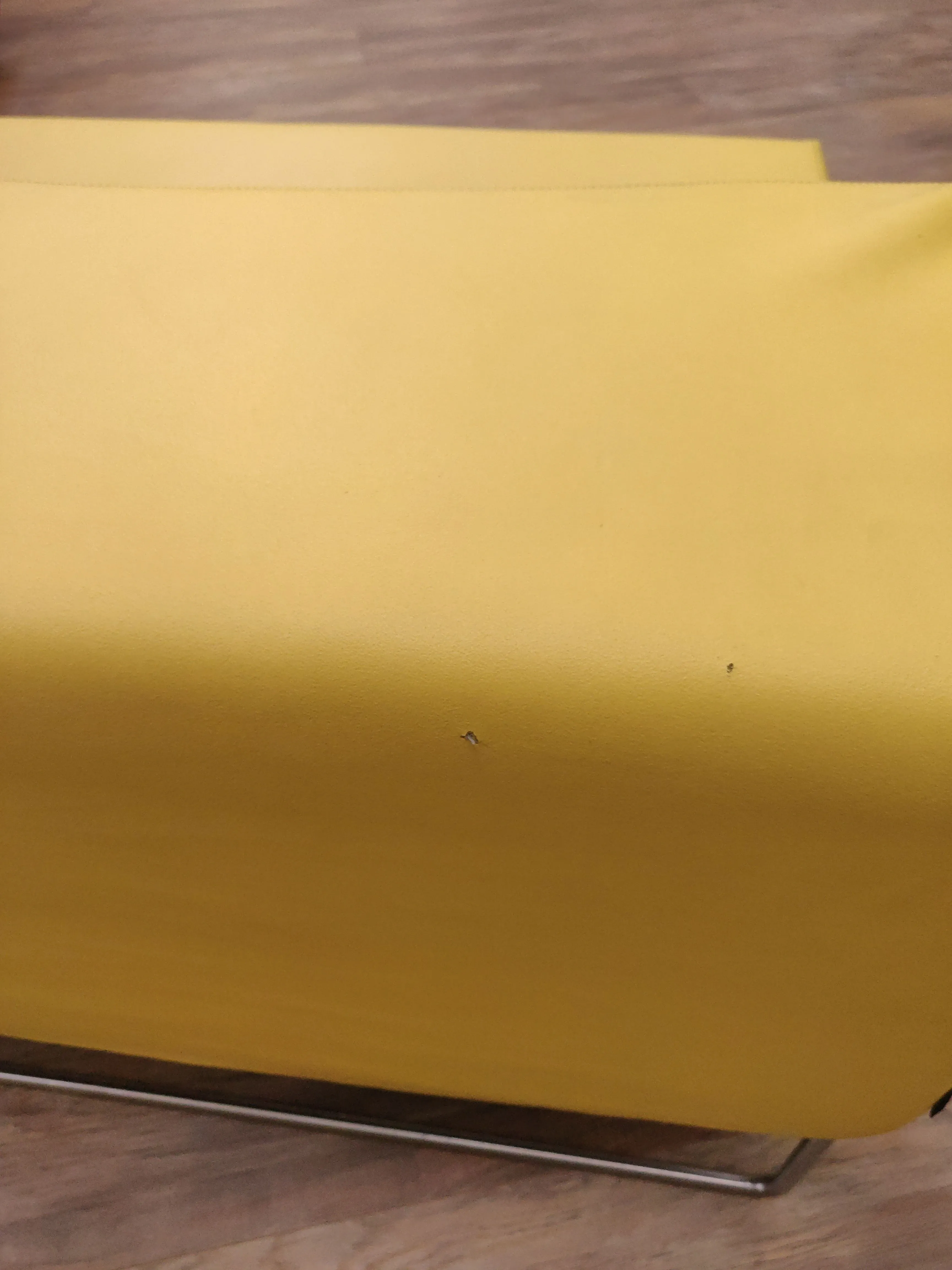 Poltrona Lowseat giallo, Moroso 4