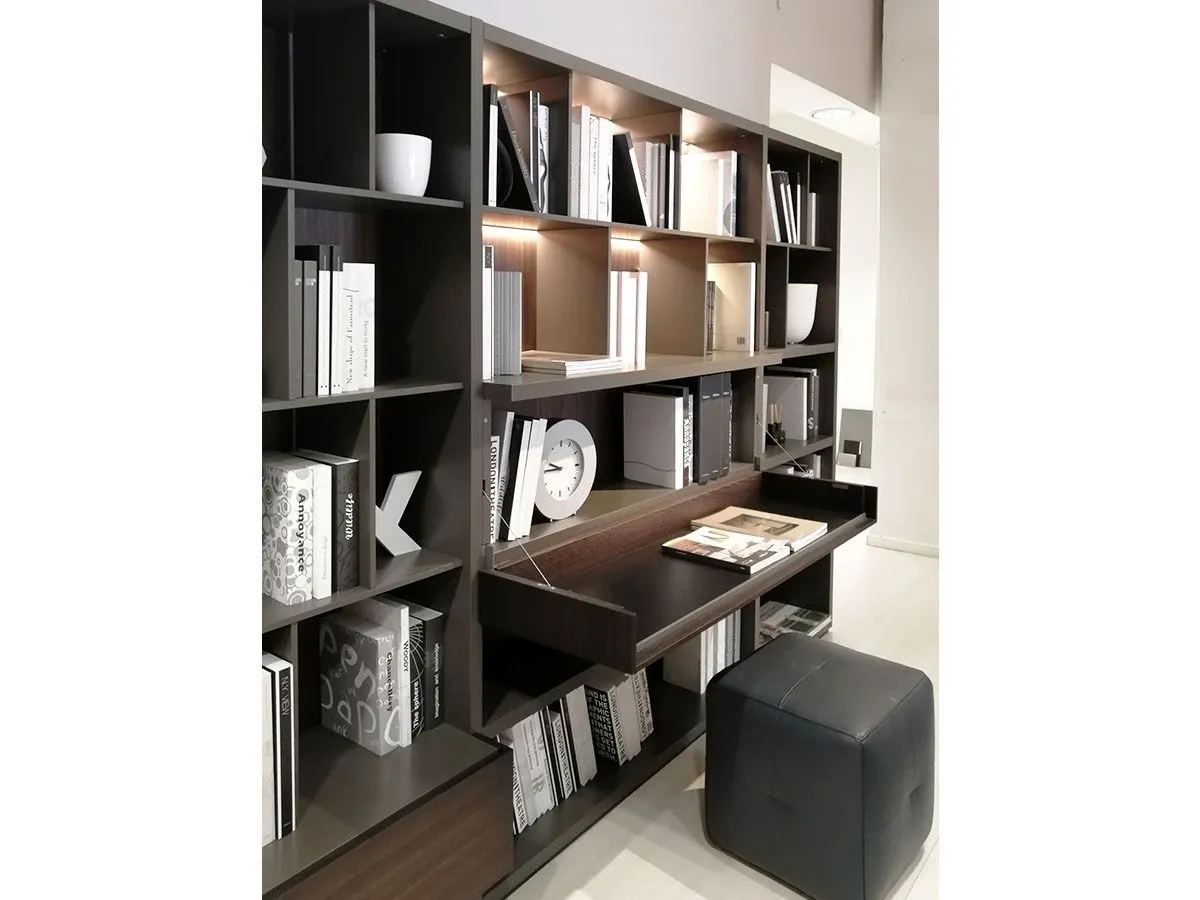 Wall System Bookcase wood, Poliform 4