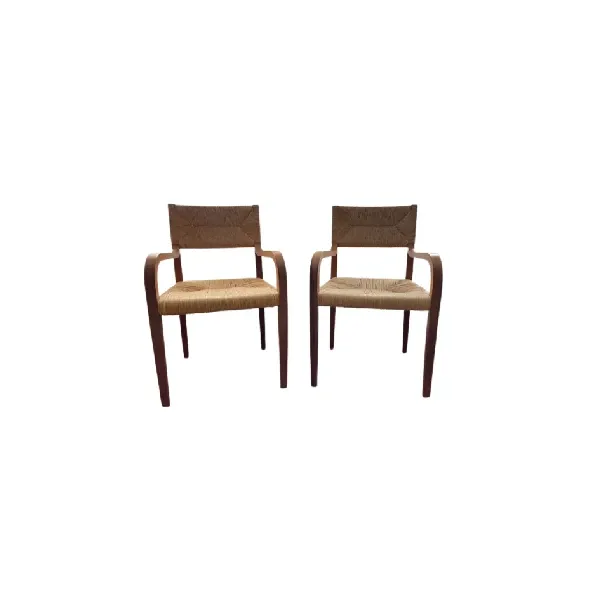 Set of 2 vintage Risiedo chairs, Molteni image