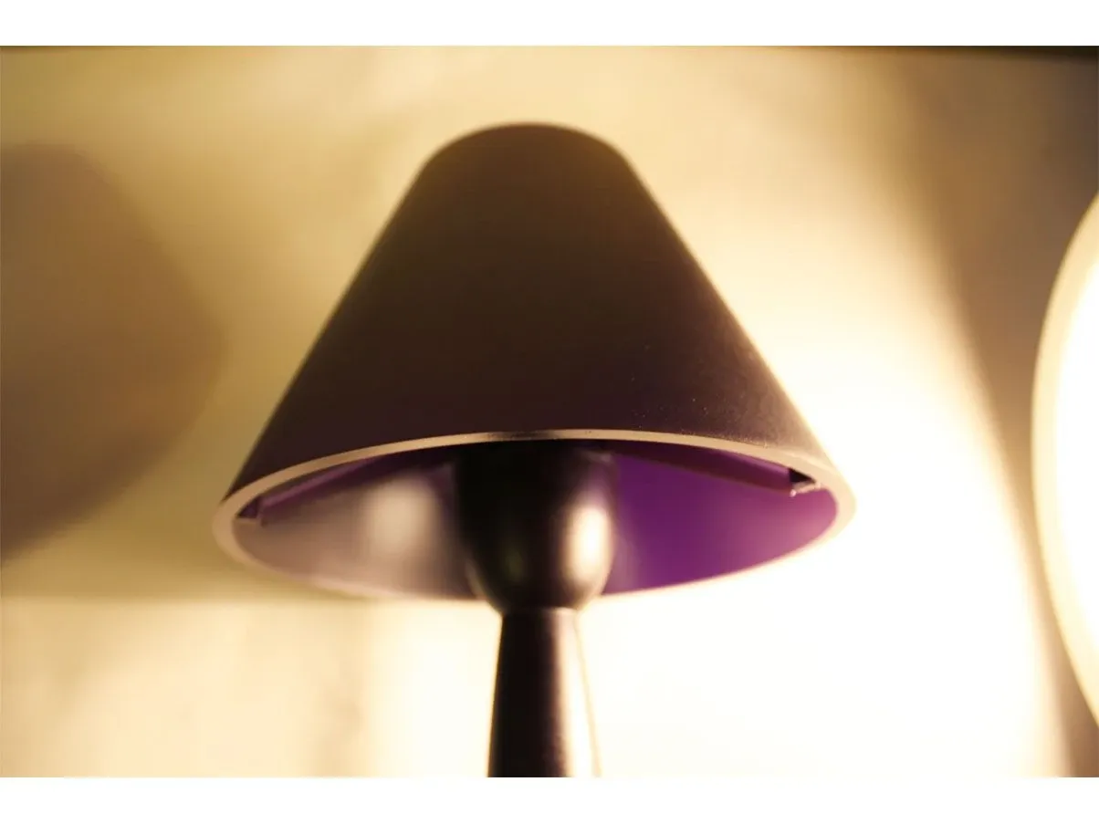 Set 2 lampade da parete Miss Sissi/p di Starck (viola), Flos 5