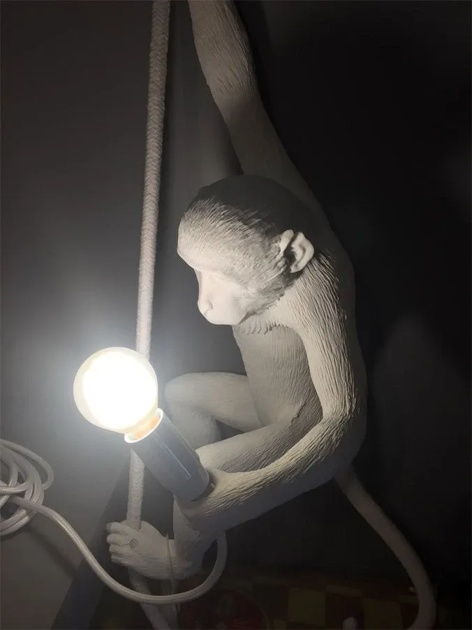 The Monkey Lamp Ceiling 4