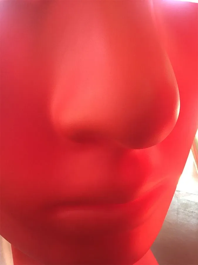Nemo (rosso), Driade 