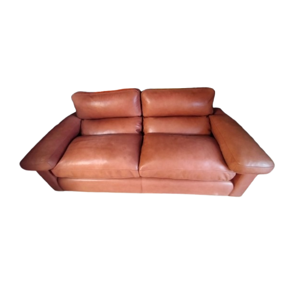 Petronio 2-Seater Leather Sofa image