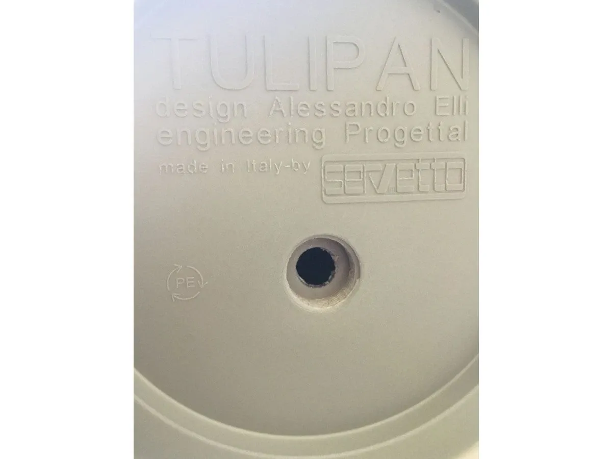 Tulipan 2