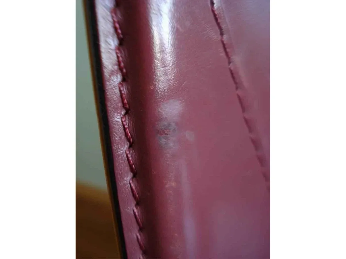 Set of 6 Bittersüß chairs in leather (bordeaux), Matteograssi 2
