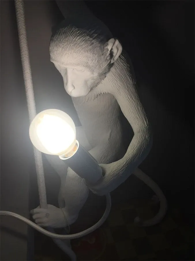 The Monkey Lamp Ceiling (outdoor) 3