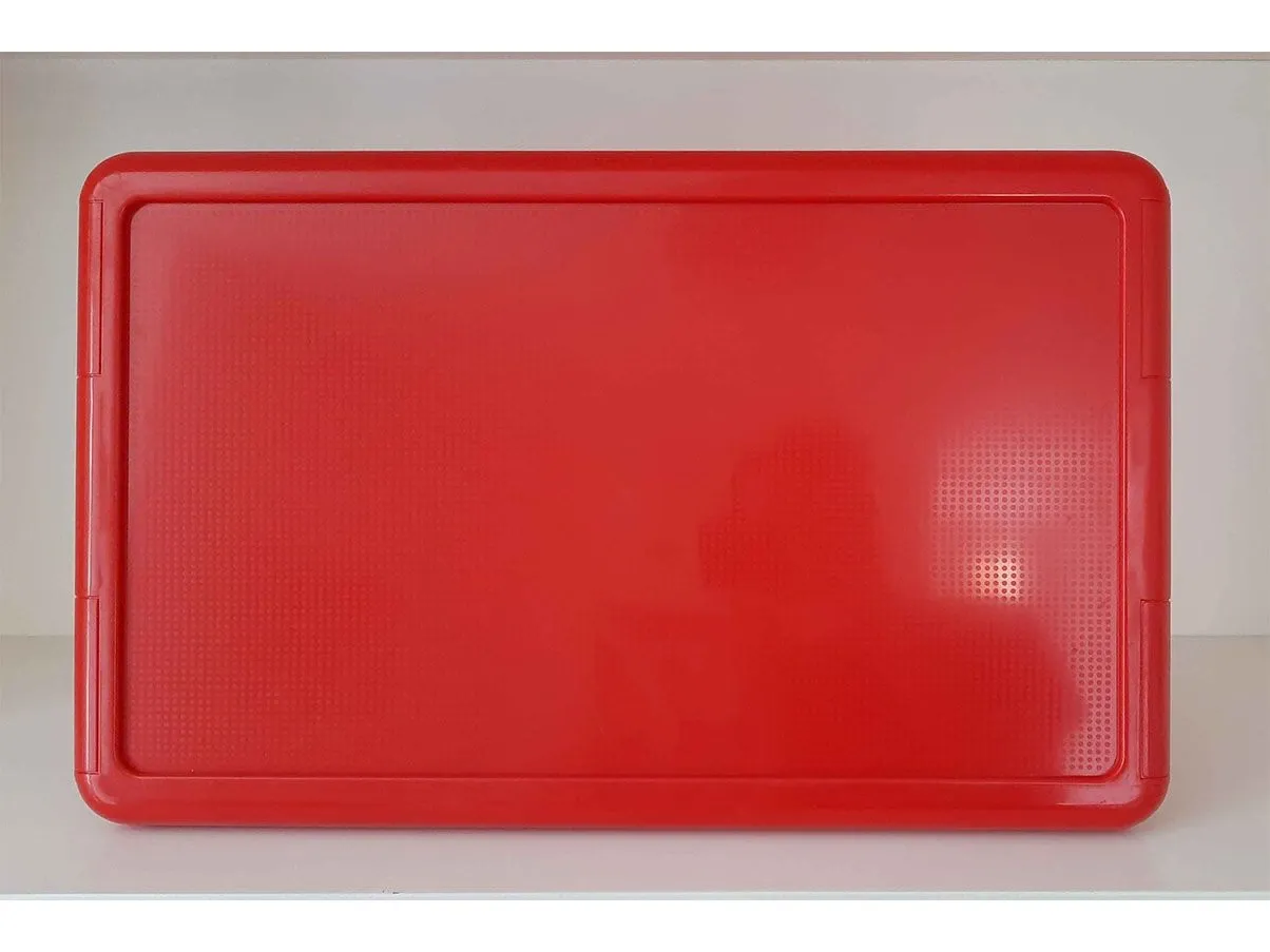 Tray by Pino Spagnolo plastic material (red) 4