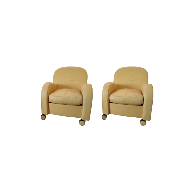 Set of 2 Daisy armchairs in yellow leather, Poltrona Frau image