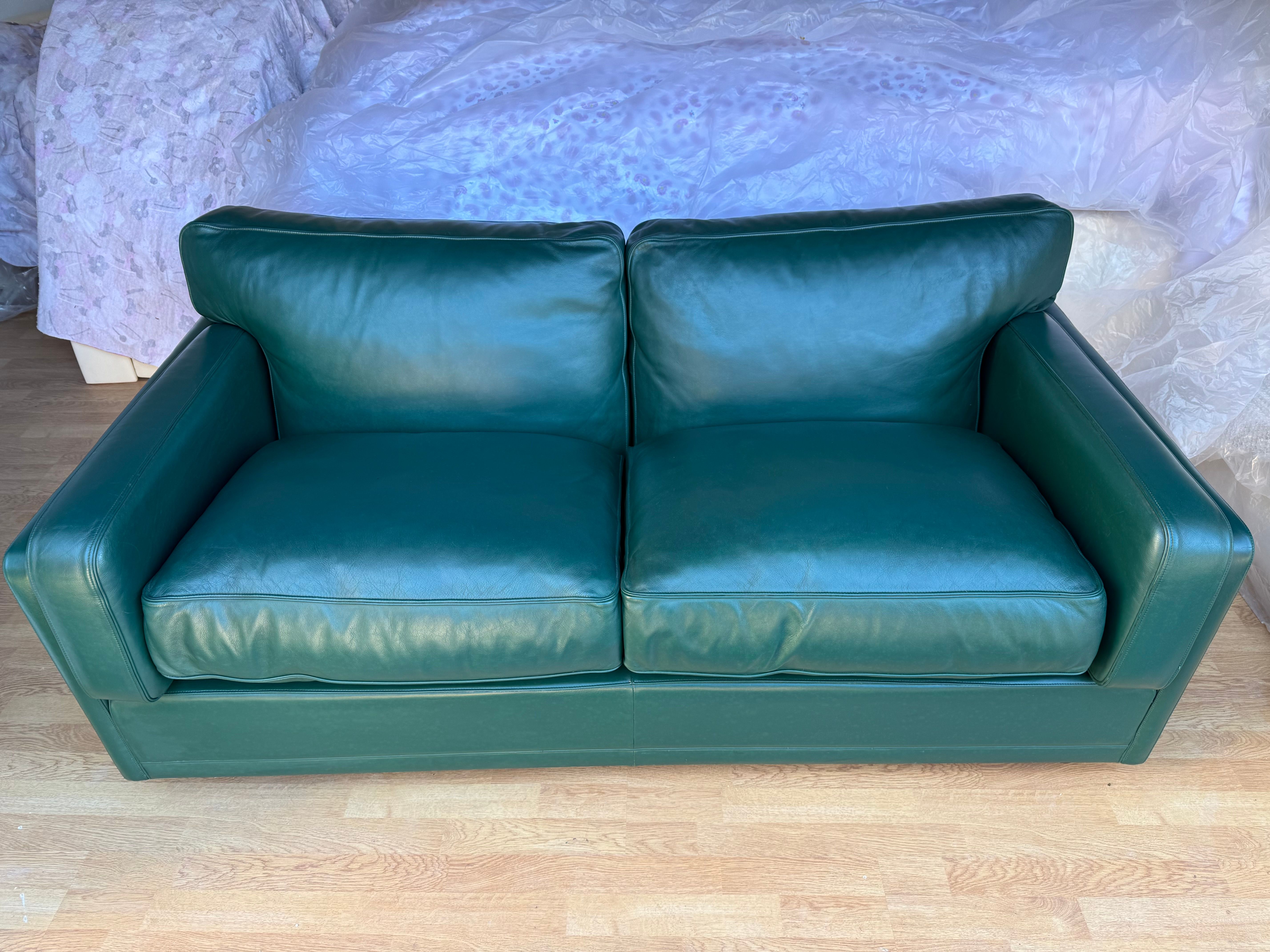 Divano 2 posti in pelle verde di Tito Agnoli  Front