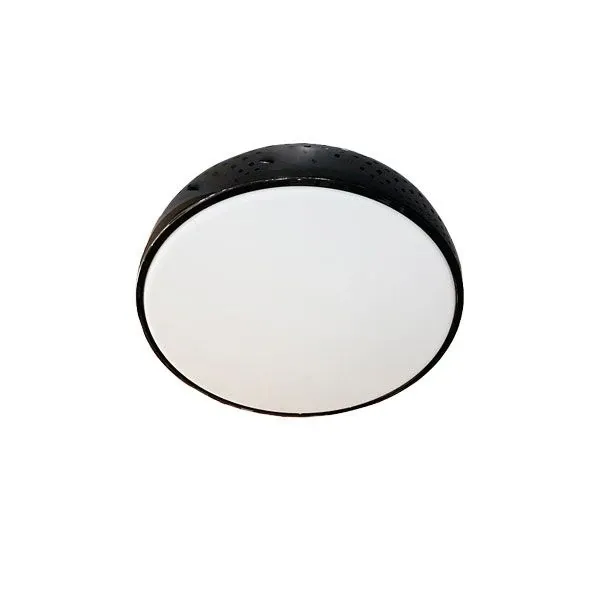 Smithfield Ceiling aluminum ceiling lamp (black), Flos image