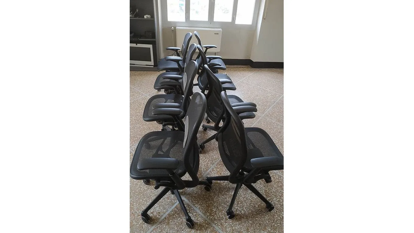 Chadwick Ergonomic Chair by Don Chadwick 