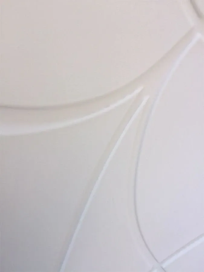 Nemo (bianco), Driade 8