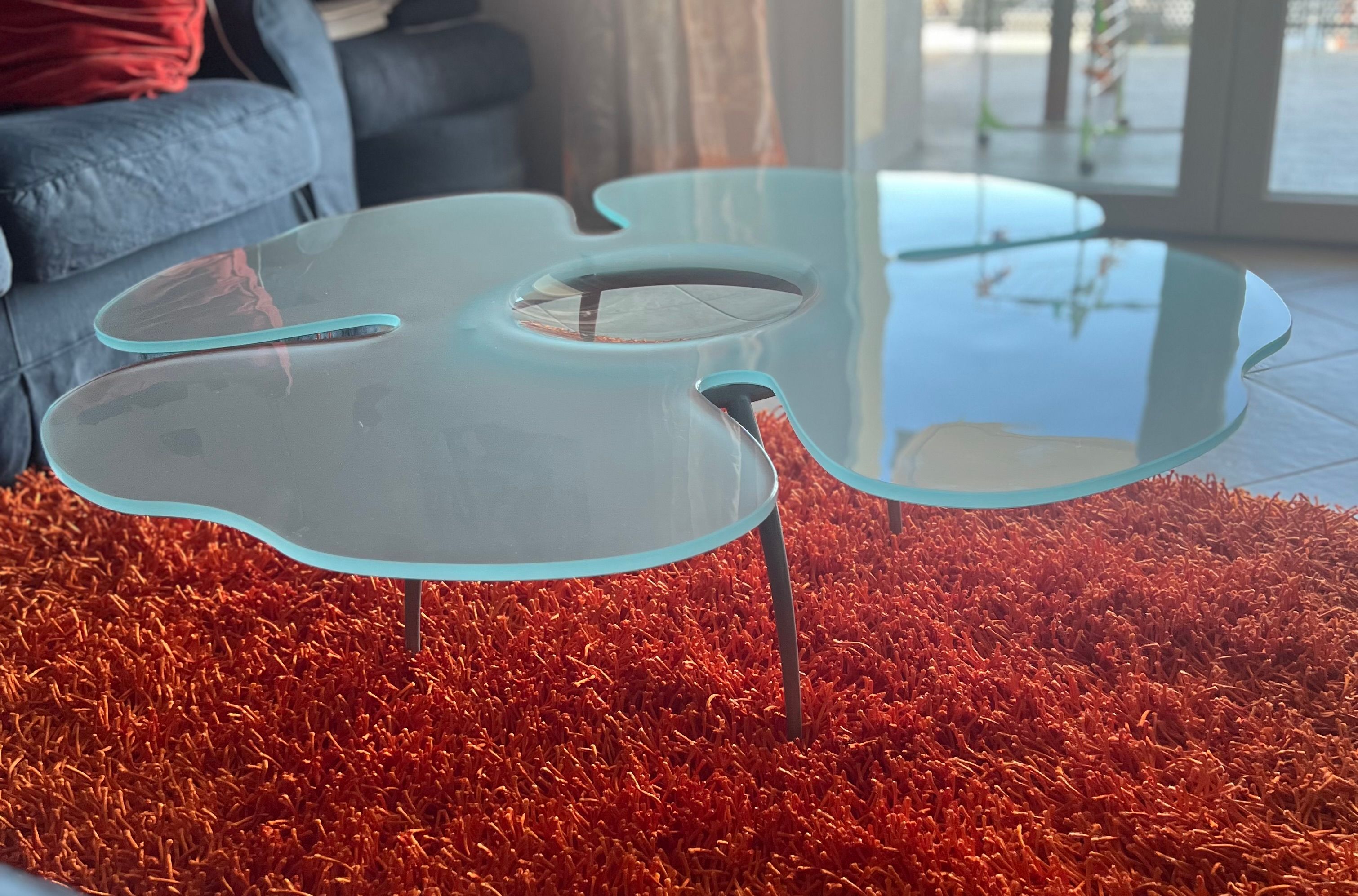 Catalan Flower Frosted Glass Coffee Table (1990s) Front
