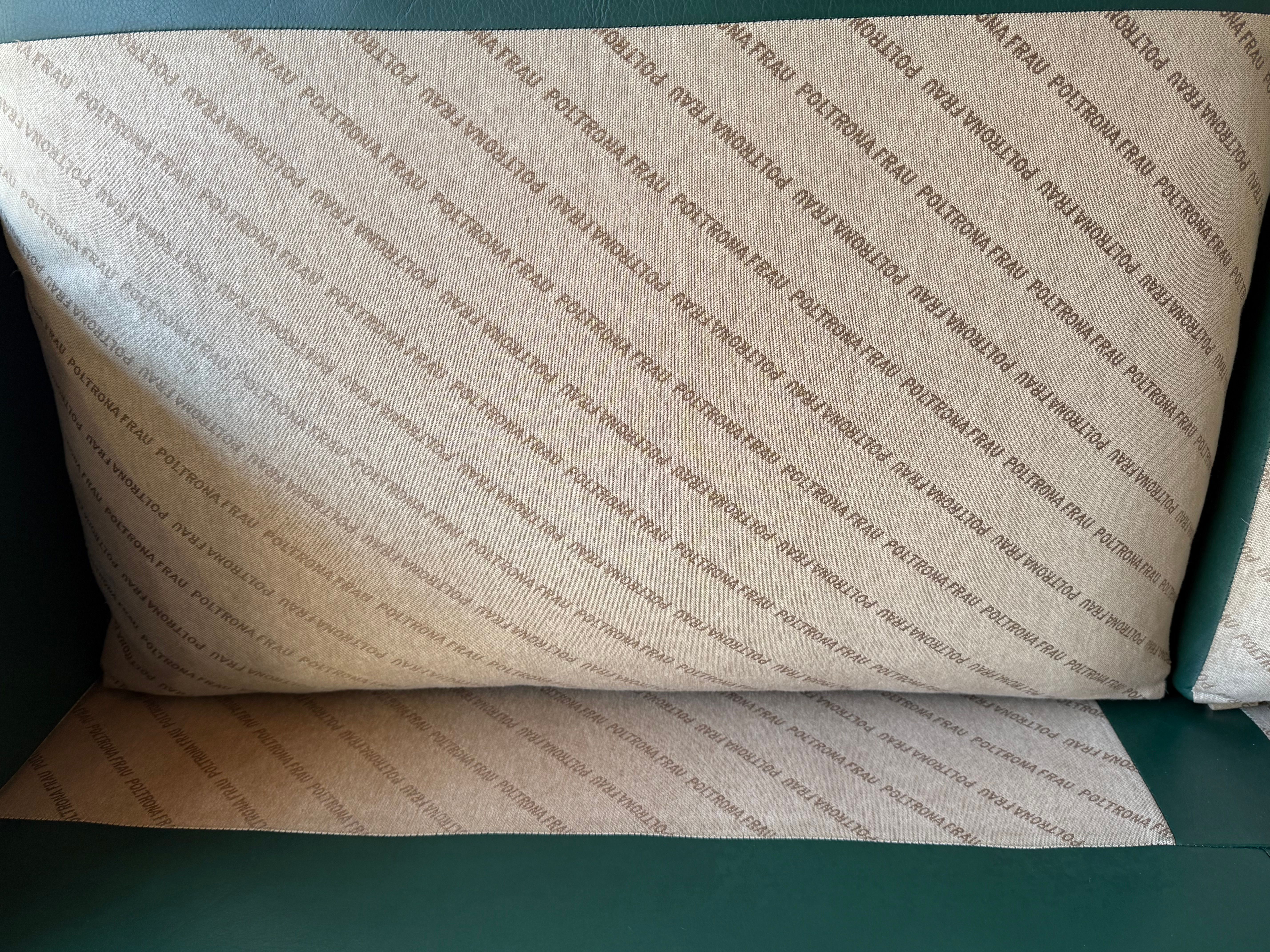 Divano 2 posti in pelle verde di Tito Agnoli  Optional7