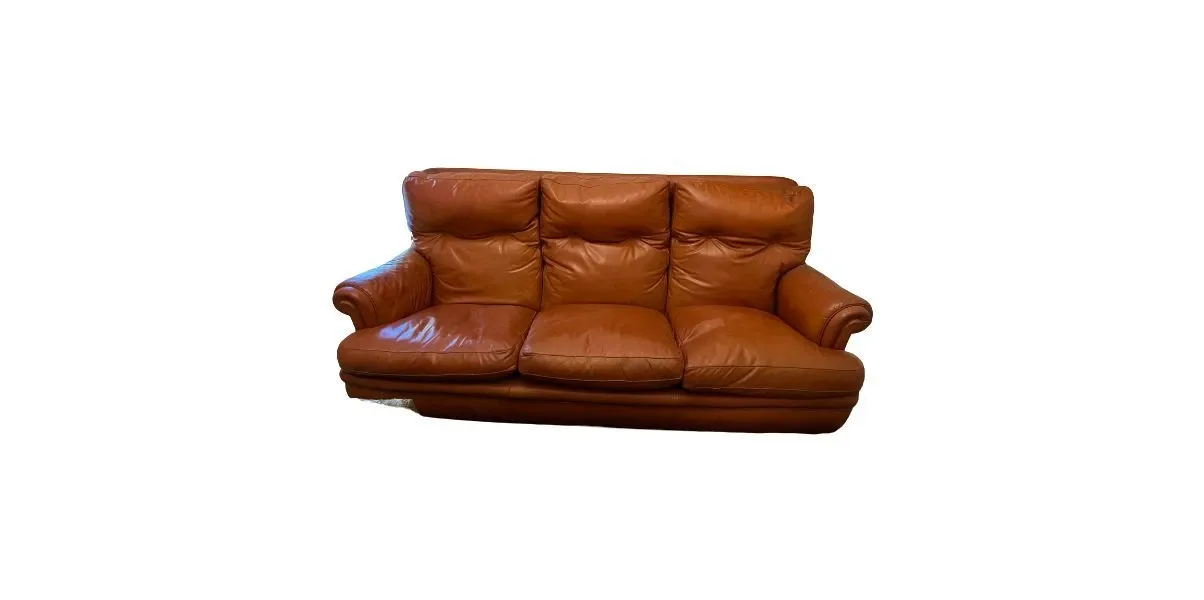 Dream 3-seater sofa in vintage leather (1970s), image