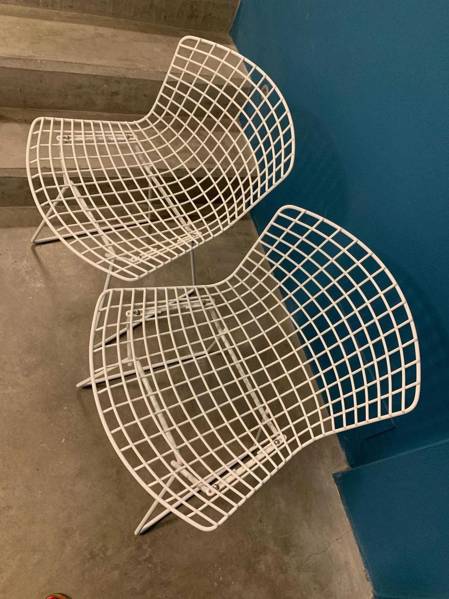 Bertoia Side Chair (white), Knoll 