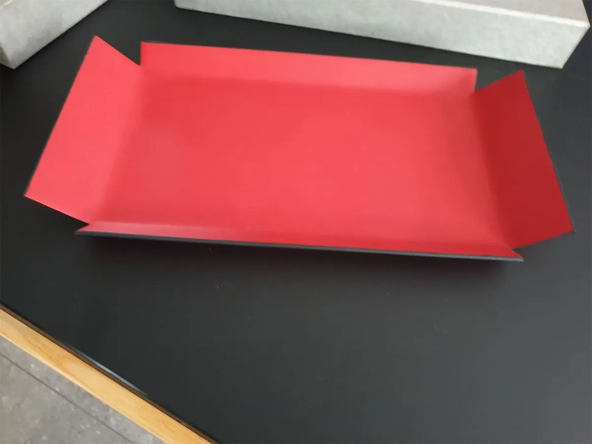 Vassoio rettangolare rivestito in pelle (rosso), Poltrona Frau 3